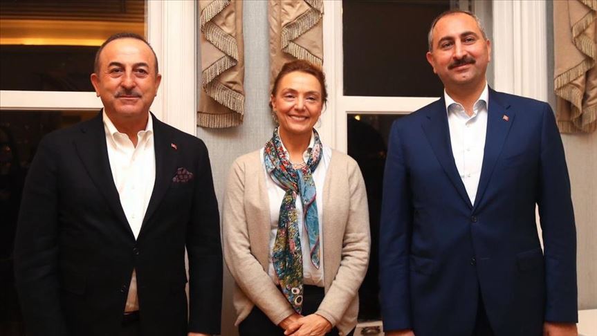 Top Turkish officials meet Council of Europe head