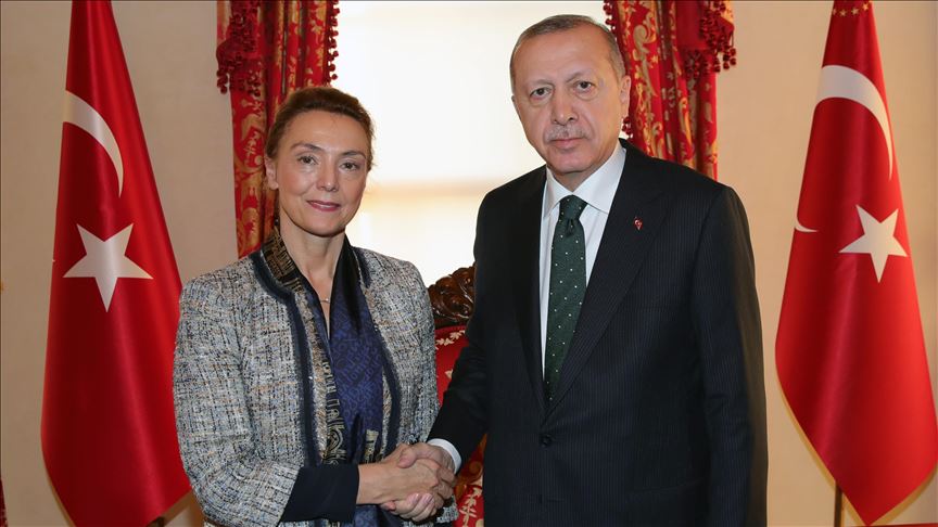 Президент Турции принял генсека Совета Европы