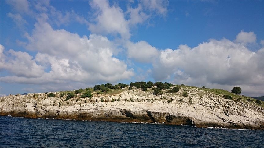 Doğu Akdeniz'deki yetki alanlarının belirlenmesinde adaların rolü