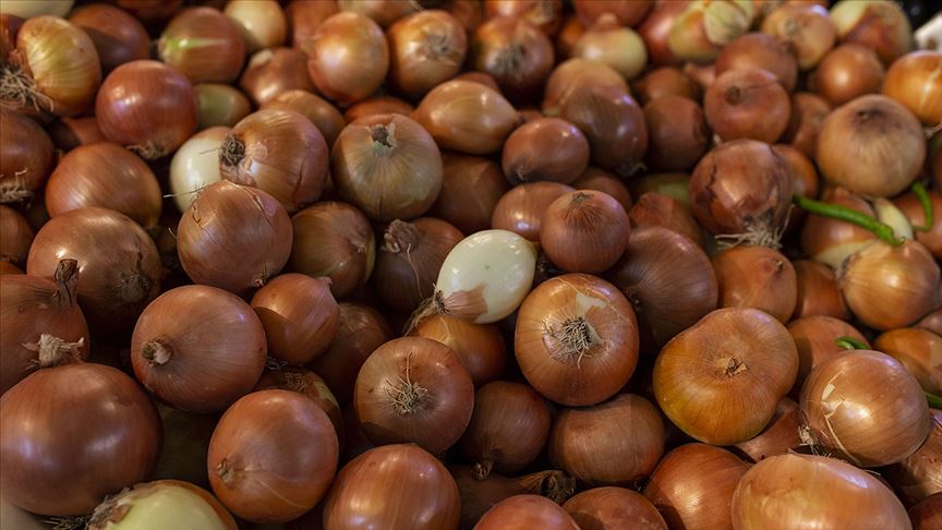Hindistan'daki soğan krizi Türk üreticilere fırsat oldu