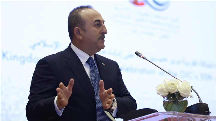 Turkish FM calls Armenian resolution ‘political show’