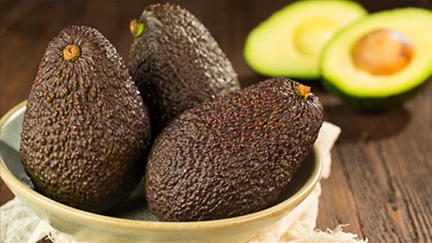 China da luz verde a la exportación de aguacate Hass desde Colombia