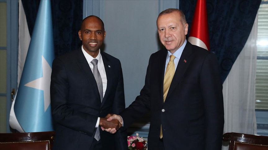Cumhurbaşkanı Erdoğan, Somali Başbakanı Hasan Ali Hayri'yi kabul etti