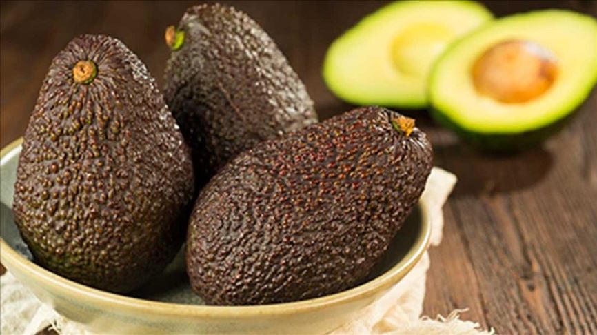Llegó primer cargamento de aguacate Hass colombiano a Japón