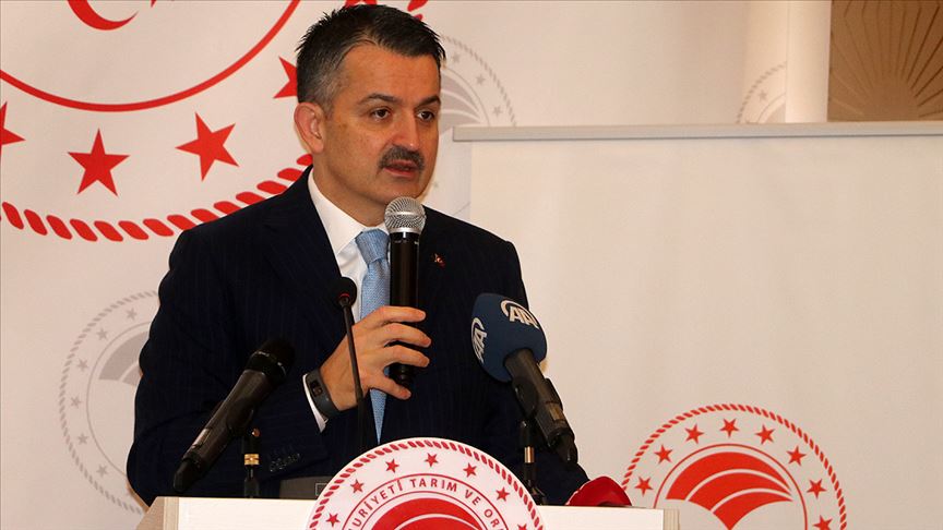 Tarım ve Orman Bakanı Pakdemirli: Hakiki arıcıların emeğini çalanlara asla ve asla müsade etmeyeceğiz