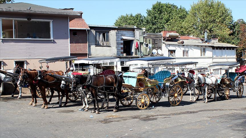 İstanbul Valisi Yerlikaya: Adalar'da faytonlara at koşulması 3 ay süreyle durduruldu