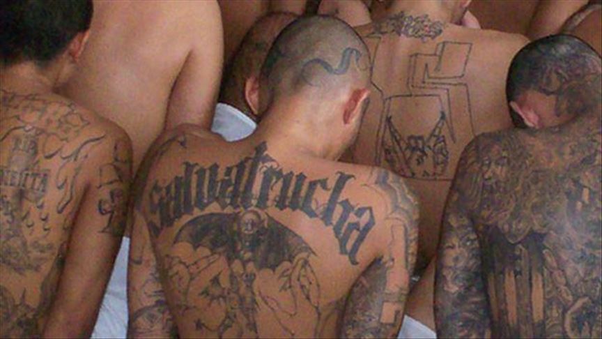 Arrestan a más de 230 miembros de la pandilla MS13 en EEUU y El Salvador
