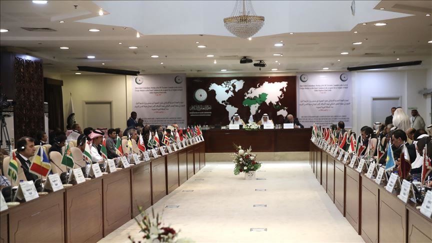 OIC concerned over issues affecting Muslims in India