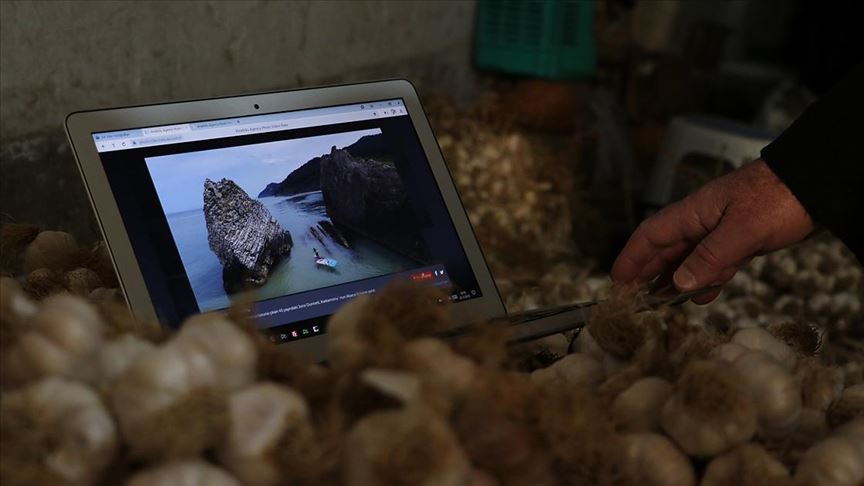 Taşköprülü sarımsak üreticileri favori AA fotoğraflarını seçti