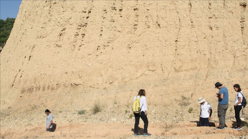 9M-year-old fossils unearthed in southwestern Turkey