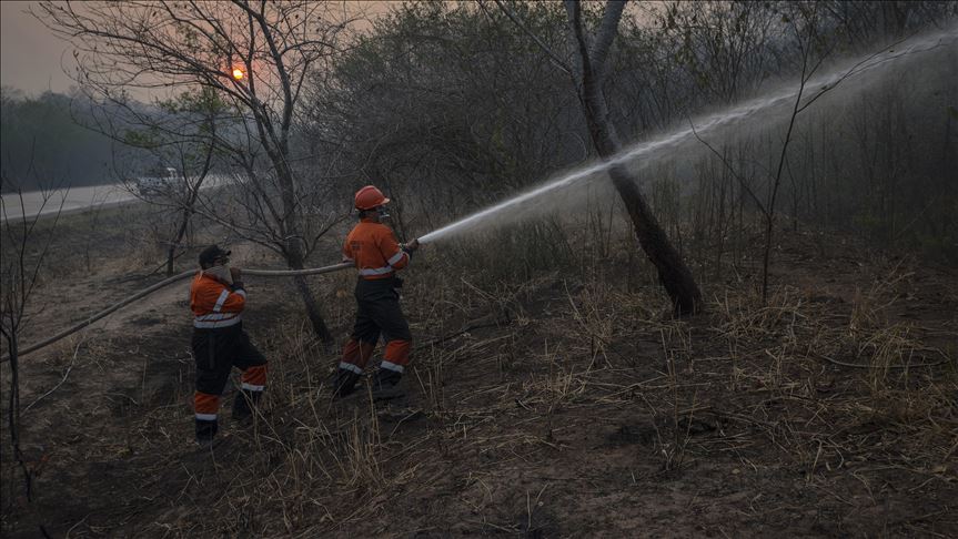 En el 2019 se quemaron 6,5 millones de hectáreas de bosque en Bolivia