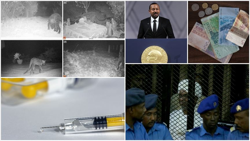 Afrika'da 2019 böyle geçti