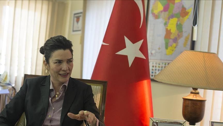 Turkish-African relations thrived in 2019: Diplomats