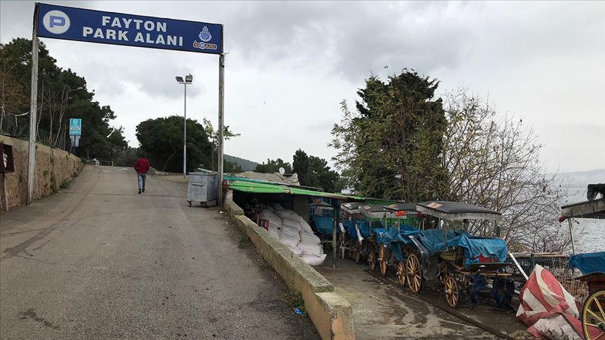Adalar'da ruam hastalığı sağlık taraması yeniden başladı