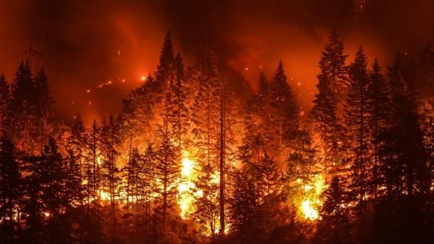 Лесные пожары в Чили уничтожили более 200 домов