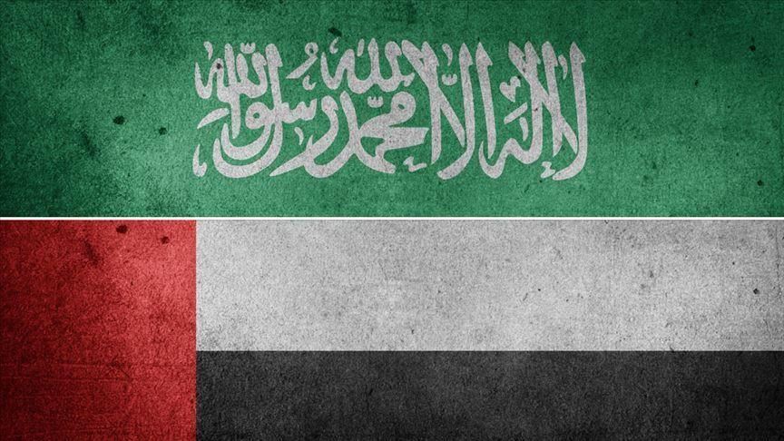 ANALYSIS - E. Med policy of UAE-Saudi axis creates tensions