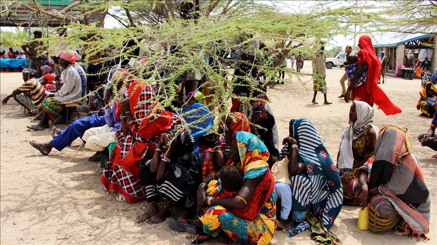 Food crisis looms as locusts invade northern Kenya