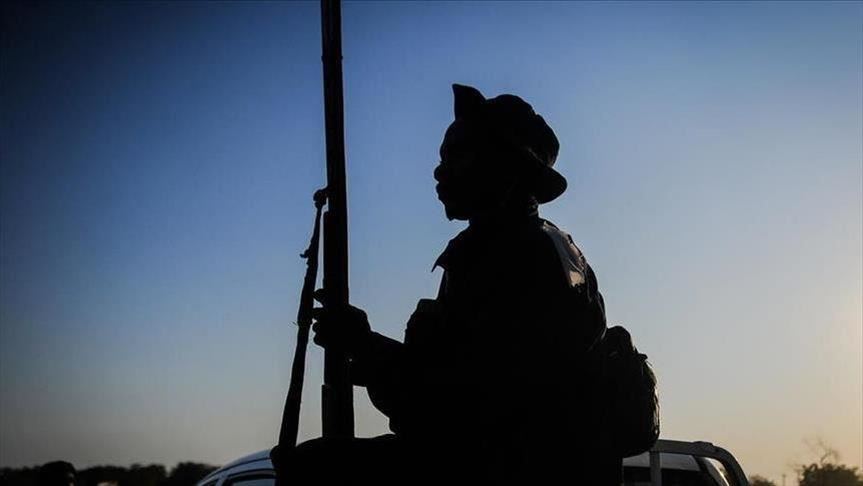 DR Congo: More than 200 militiamen surrender in east