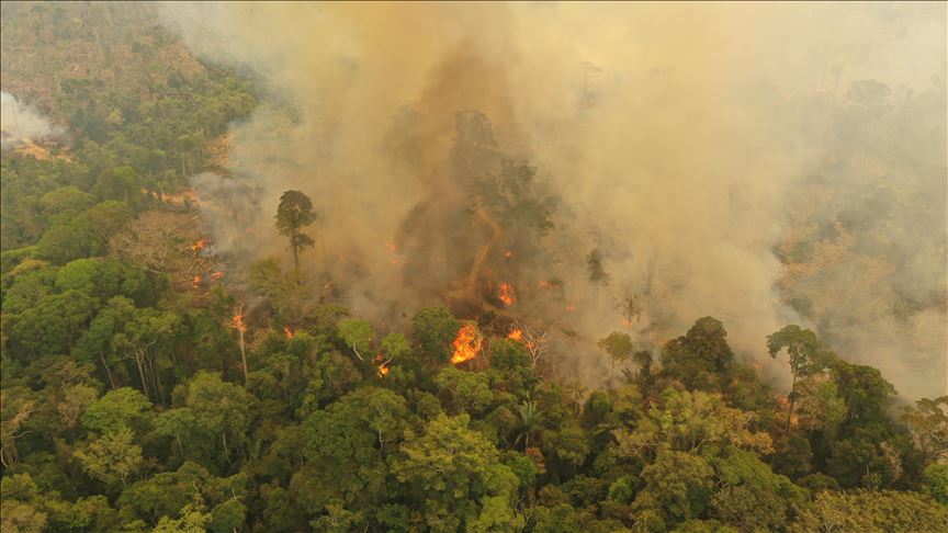 En el 2019 los incendios en la Amazonía de Brasil aumentaron en un 30%