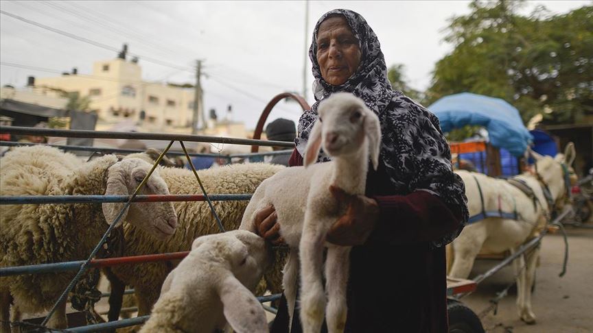 Gazzeli anne engelli 5 oğluna bakmak için hayvan besiciliği yapıyor 