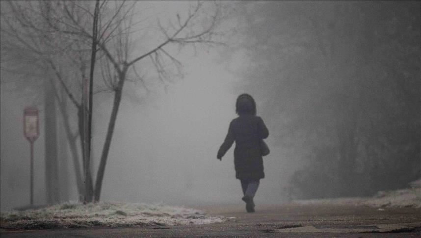 Od Federalne uprave za inspekcijske poslove zatražena kontrola velikih industrijskih zagađivača zraka