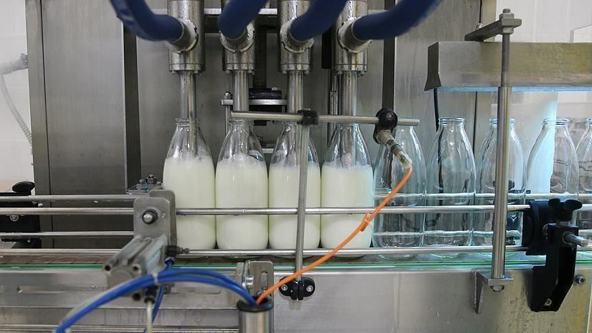 Turkey collects nearly 728,000 tons of cow milk in Nov.