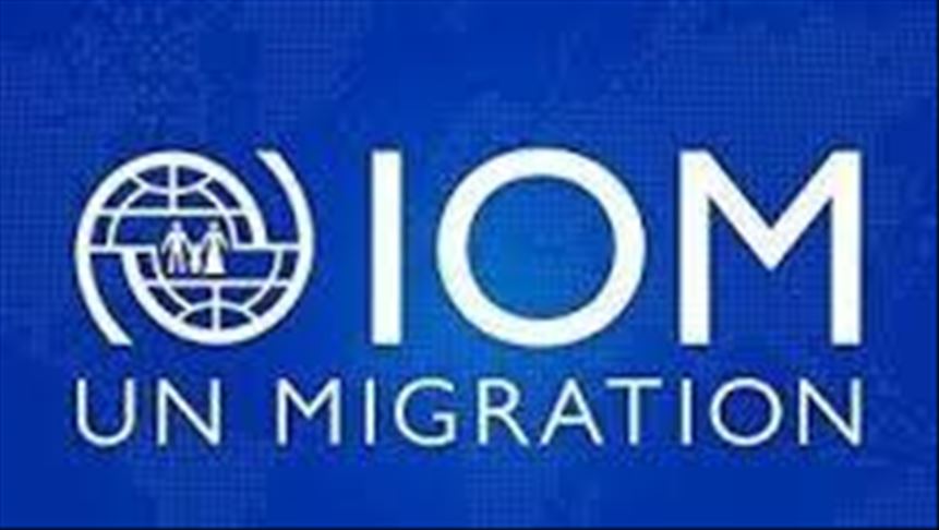 Nearly 1,000 migrants returned to Libya in 2020: IOM
