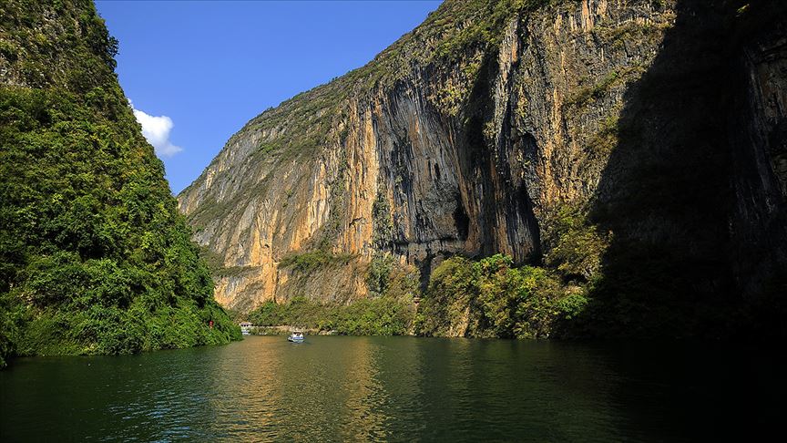 Çin'in Yangzı Nehri'ndeki balık popülasyonu yok olma tehlikesiyle karşı karşıya