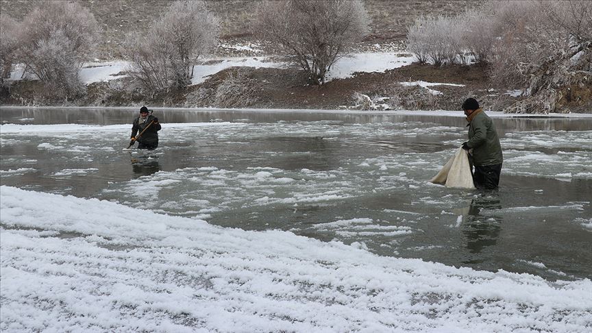 Murat Nehri'nin buz gibi suyunda ekmek mücadelesi
