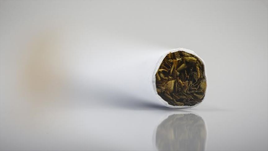 Turkey: Contraband tobacco rolling papers seized