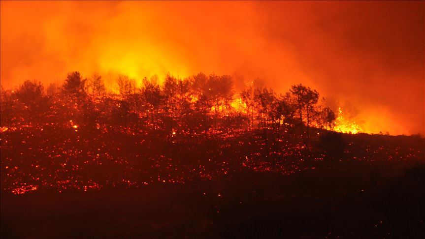 El cambio climático será probablemente el principal riesgo global en los próximos 10 años