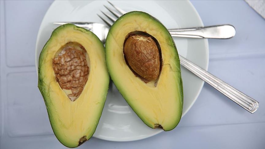 Deneme amaçlı yetiştirdikleri avokado geçim kaynakları oldu