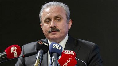 TBMM Başkanı Şentop: Türkiye olarak bu yangını bir an önce durdurmak istiyoruz