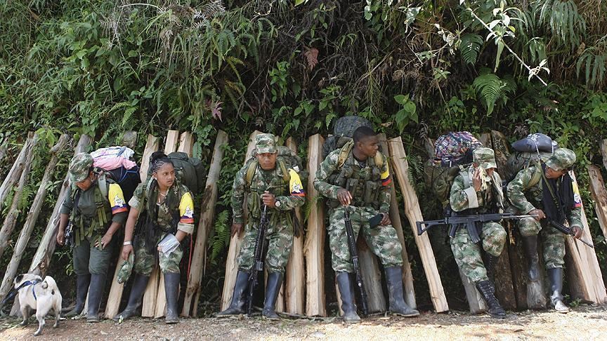 De Guerrilleros A Escoltas Los Retos De La Seguridad En El Posconflicto Colombiano 6187