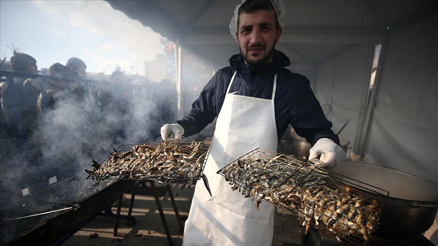Düzce'de düzenlenen festivalde 2,5 ton hamsi dağıtıldı