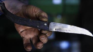 Cisjordanie occupée : Un colon israélien blessé lors d'une attaque à l'arme blanche à Hébron