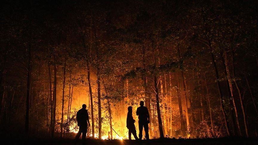 11 tewas akibat kebakaran di Siberia
