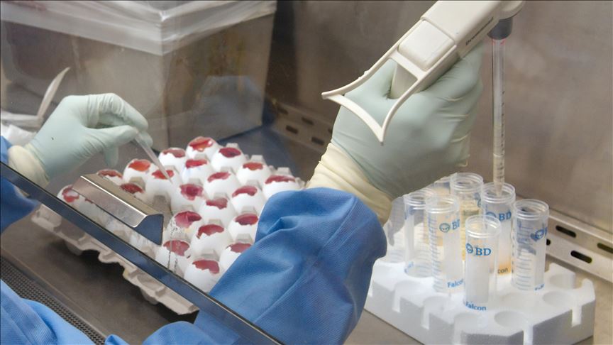US confirms first Wuhan coronavirus case 