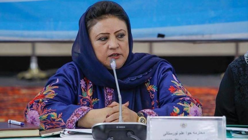 رئيس کمیسیون مستقل انتخابات افغانستان به هند رفت