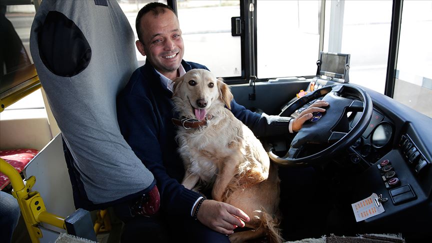 Üşüdüğü için otobüse binen köpeği 1,5 saat gezdirdi