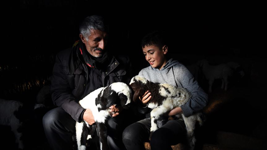 Berxên ku pêşwext zan heywandar kêfxweş kirin