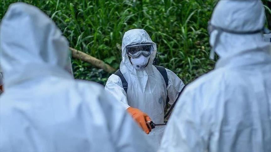 سنغافورة تعلن عن أول إصابة بفيروس كورونا