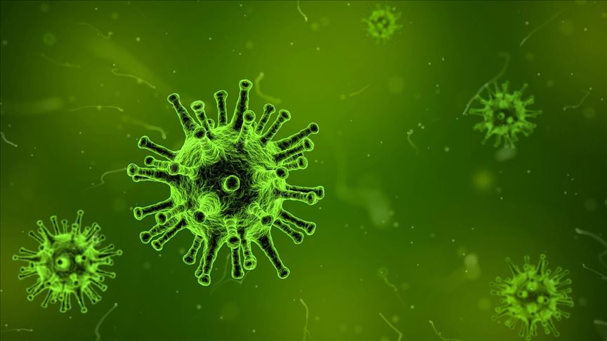 Second case of infectious coronavirus detected in US