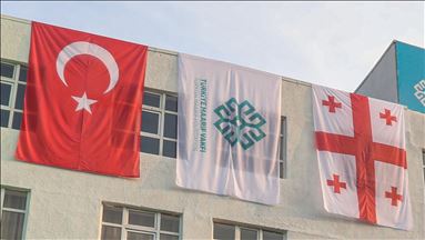 Georgia berterima kasih ke Turki karena dukung upaya aksesi ke NATO