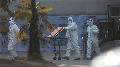 Korban tewas akibat virus korona di China capai 25 orang