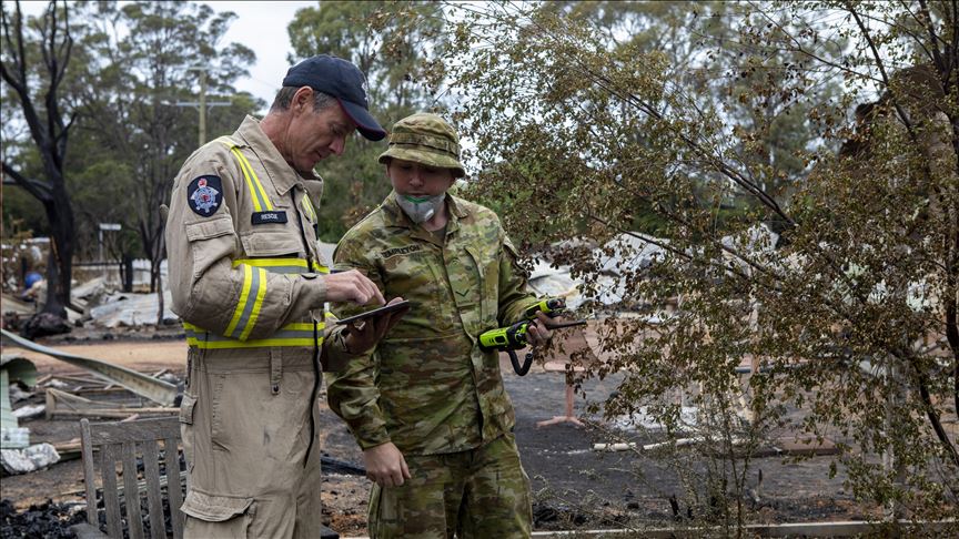 Search engine to 'plant' 26,000 trees in Australia