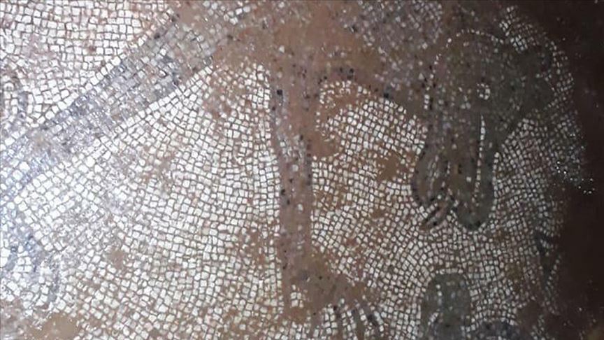 Şanlıurfa'da izinsiz kazıda Roma dönemine ait mozaikler ortaya çıktı 