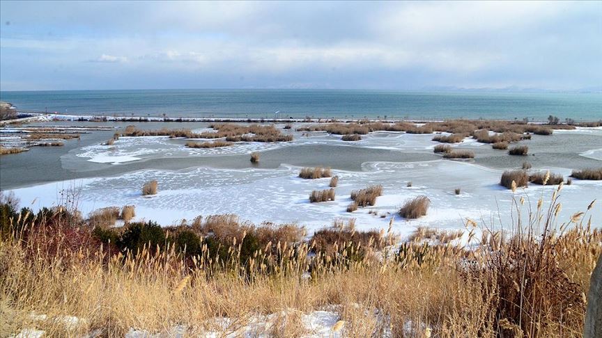 Van Gölü havzası kışın binlerce kuşa ev sahipliği yapıyor