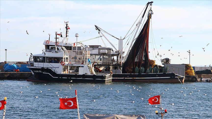 Marmara'da umduğunu bulamayan balıkçılar yüzünü Karadeniz'e çevirdi 
