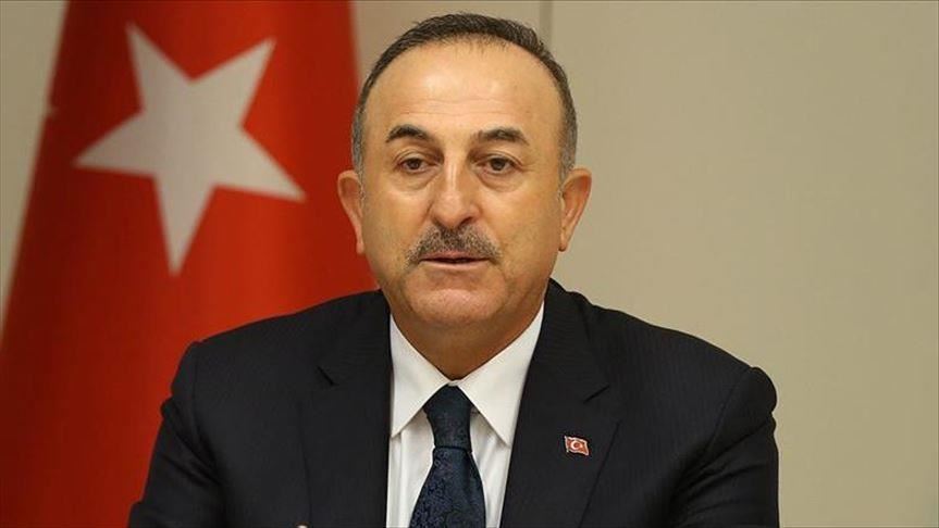 Turkey backs Arab League denouncing US so-called plan
